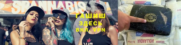 PSILOCYBIN Кодинск