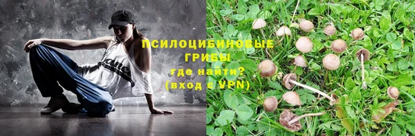 стафф Козельск