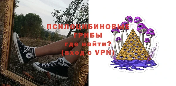 PSILOCYBIN Кодинск