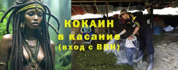 PSILOCYBIN Кодинск