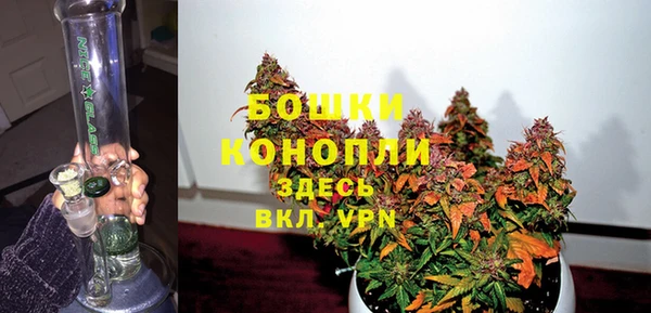 стафф Козельск