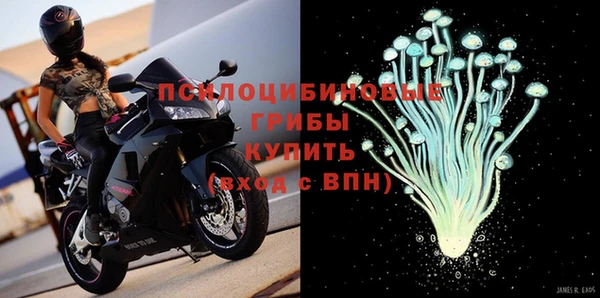 стафф Козельск