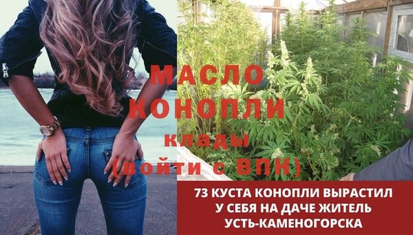 PSILOCYBIN Кодинск
